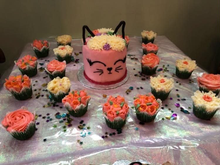 Kitty Cake & Cupcakes